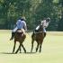 Polo in the Mid-South